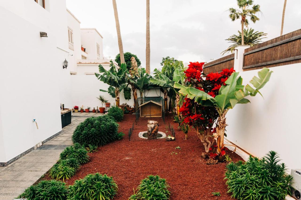 La Palmera - Fabulosa Casa, LANZAROTE, Playa Honda Playa Honda  Exterior foto